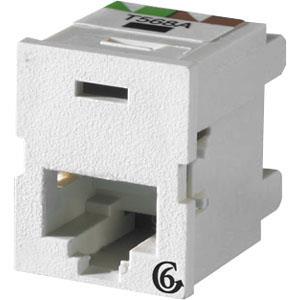 Ortronics-TJ60088.jpg