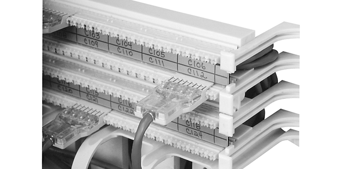 Panduit-P110PC2XY.jpg